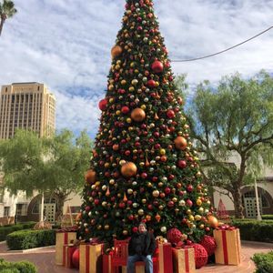 Meet your Posher, Sylvia